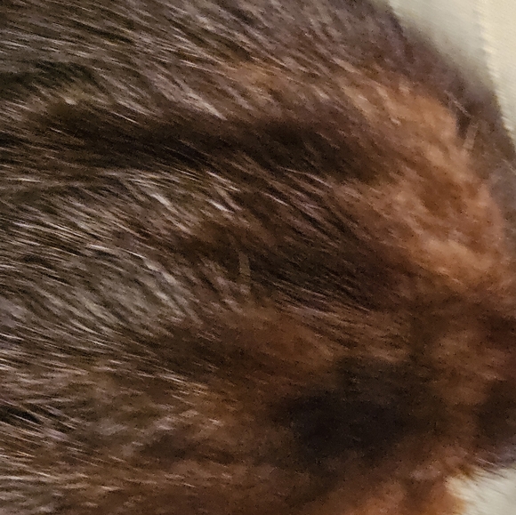 1950s tear drop hat prop, play, theatrical - Picture 10 of 11